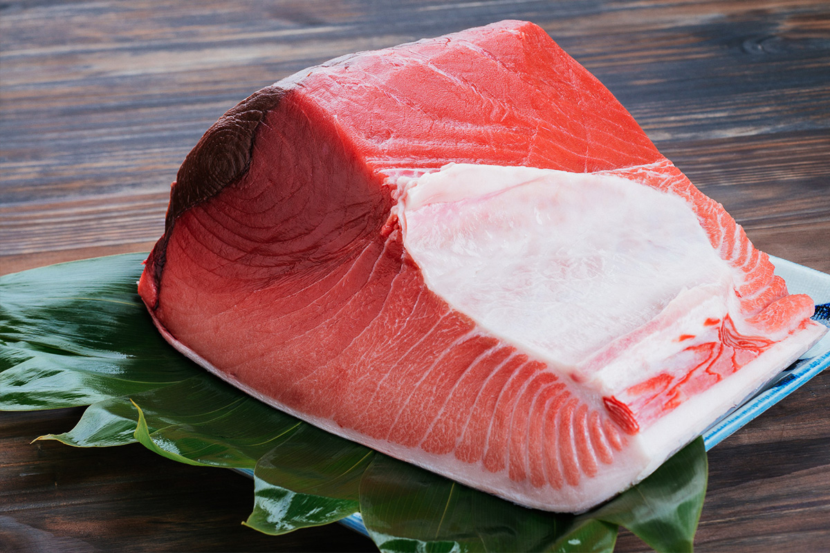 Blue fin tuna Toro
